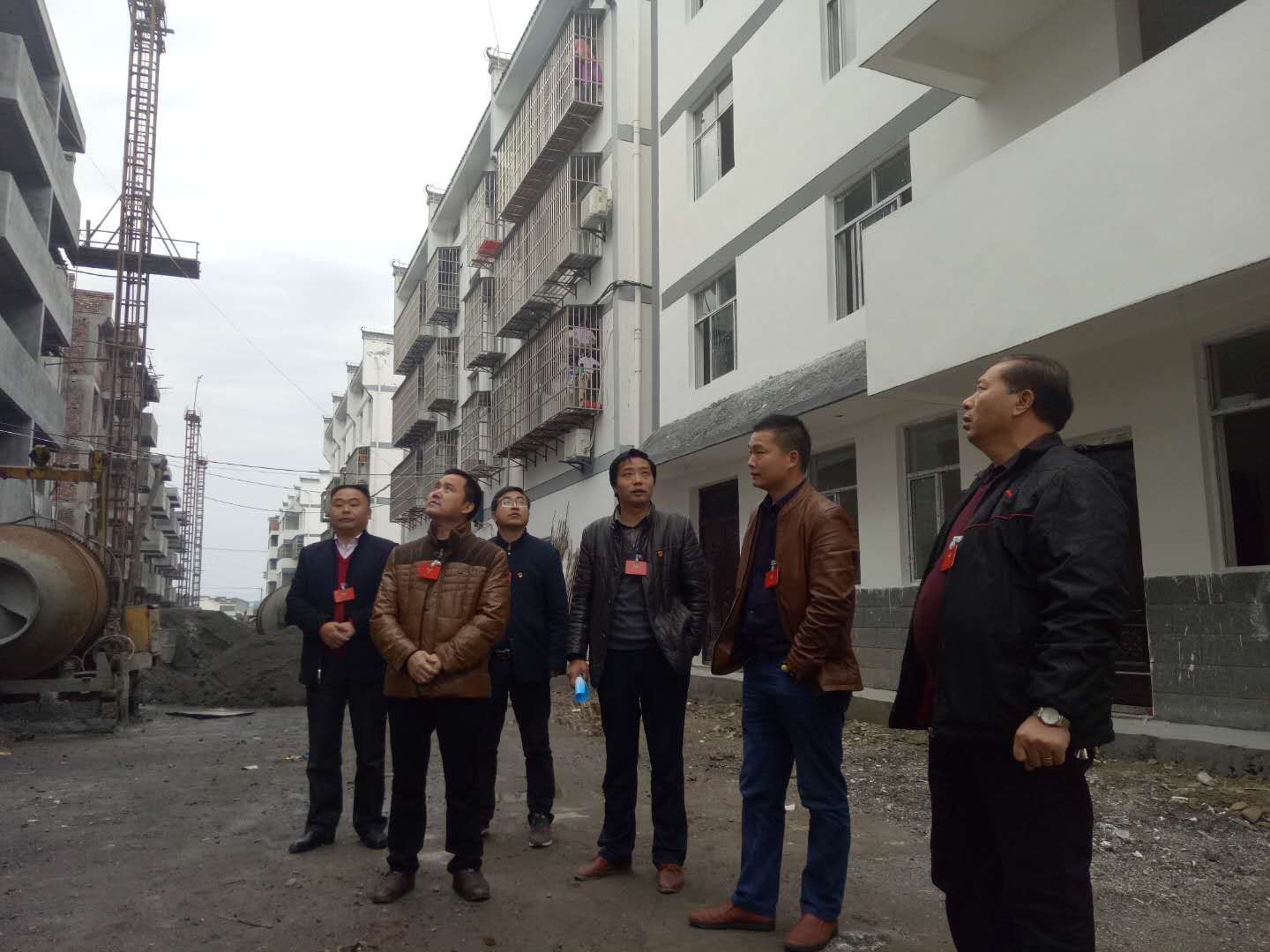 文峰乡政协委员深入学习党的十九大精神