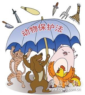  柳林协警散步途中救助国家保护动物小麂