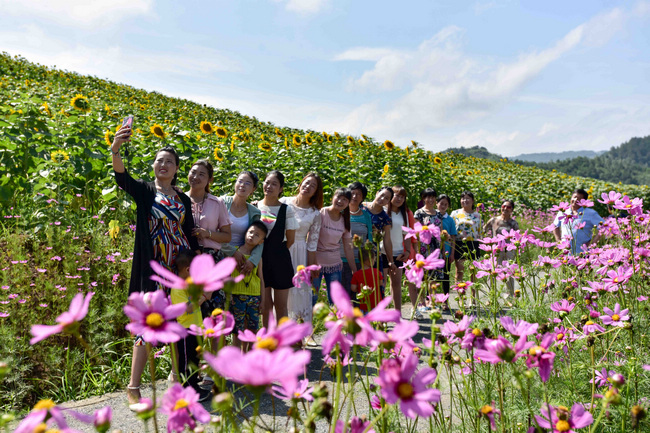 平凡的小山村掀起了乡村旅游热