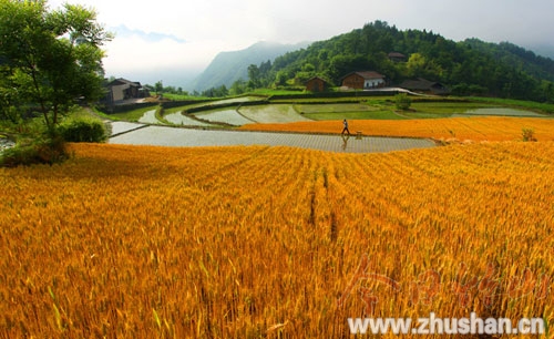 南水北调全国摄影赛竹山7幅作品北京展出