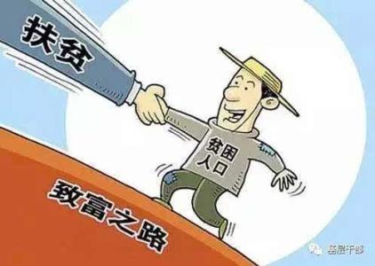 聚力脱贫攻坚 人大代表再行动