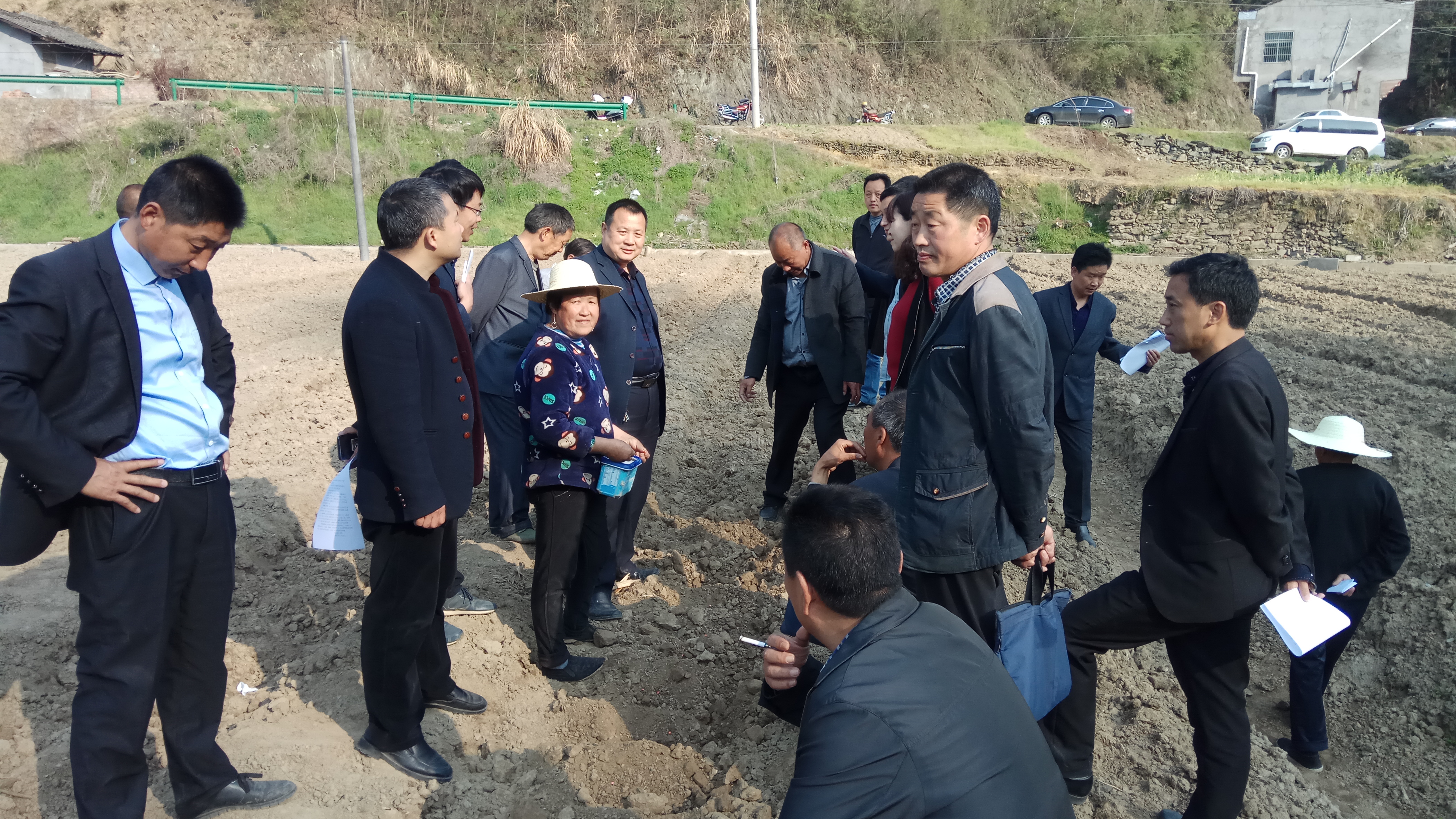 得胜镇：茶园套种拓宽脱贫增收路