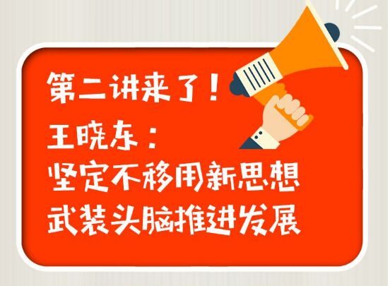 王晓东:坚定不移用新思想武装头脑推进发展