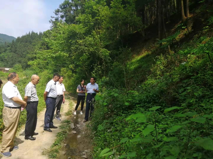 市农业专家为官渡镇魔芋产业把脉问诊