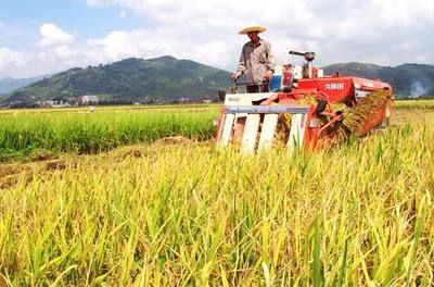 经济形势年中看：农业农村经济高质量发展开局良好