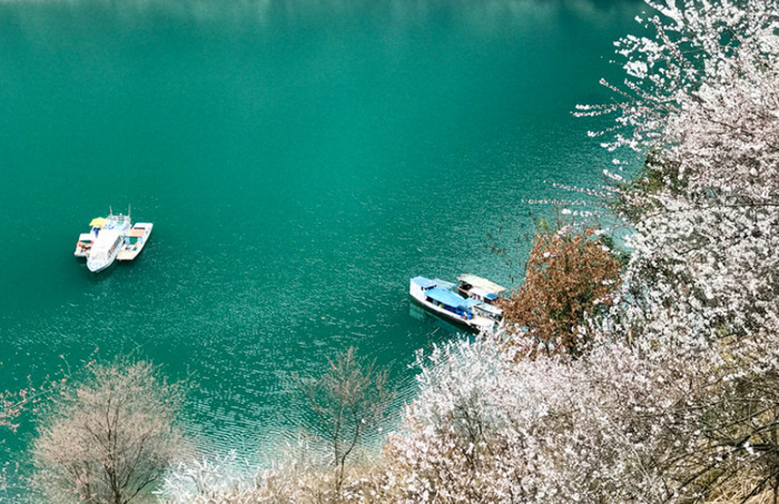 桃花源游記