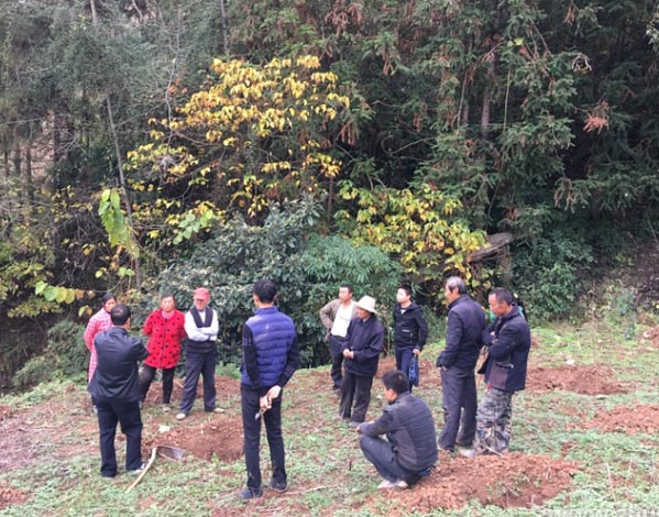 小山村迎来新产业