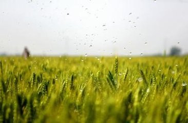 新华社社评：携手新征程 奋进新时代