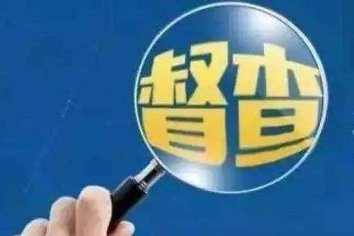 湖北省政府啟動一季度專項督查:以暗訪為主 精準查找問題