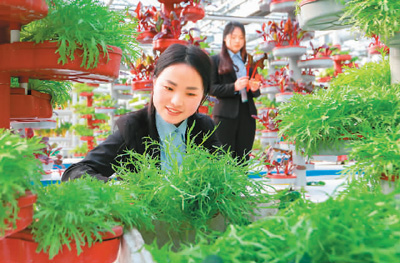 首個國家級農業產業科技創新中心建設提速