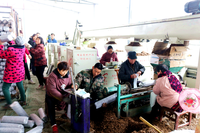 溢水镇：开足马力全力冲刺开门红