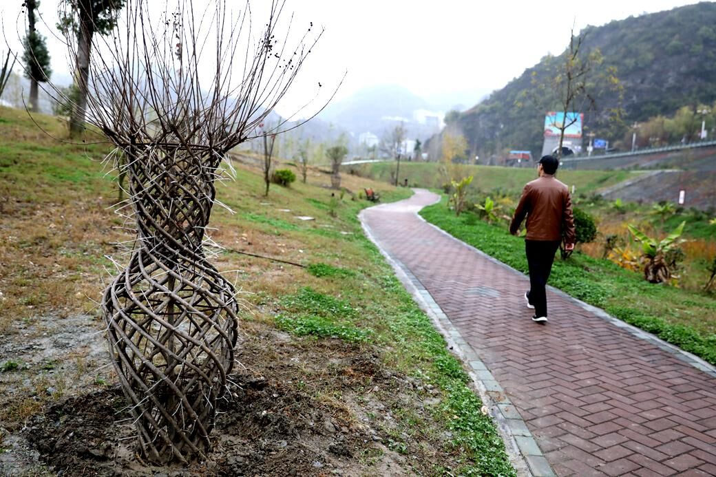 全省縣級文明城市創(chuàng)建活動拉練觀摩竹山