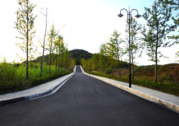 竹山南山公园秋色斑斓 