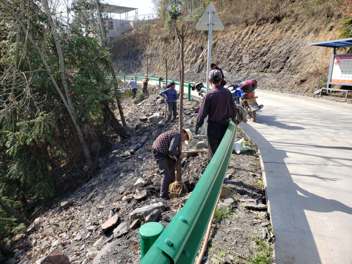 秦古镇：全力推进通村公路绿化建设