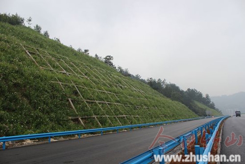  谷竹高速路加快绿化迎通车