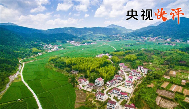 【央视快评】让乡村振兴成为全党全社会的共同行动