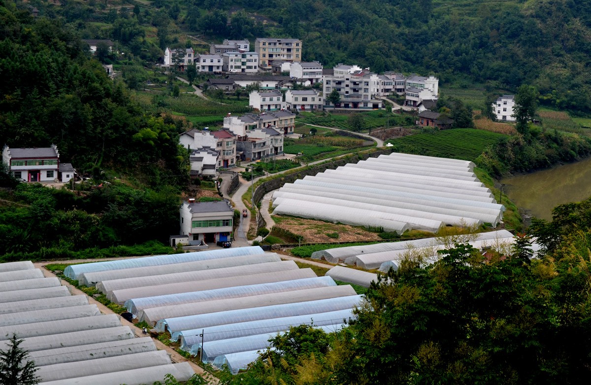 激情跨越启新程——城关镇经济社会事业发展侧记