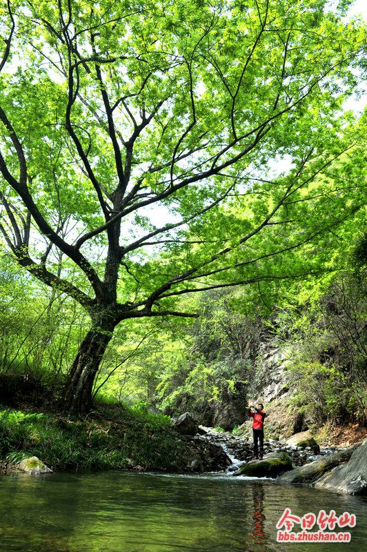 堵河生態(tài)文化旅游帶呼之欲出