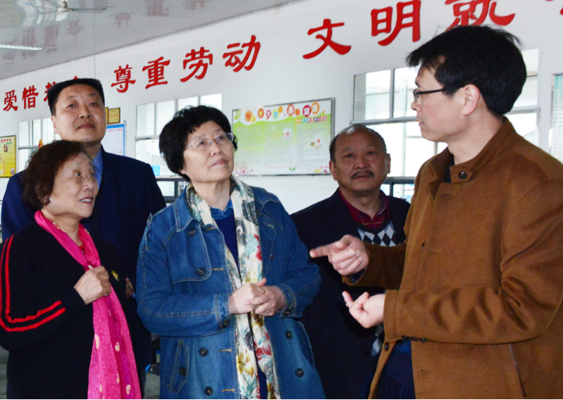 江城老知青相约回“故乡”