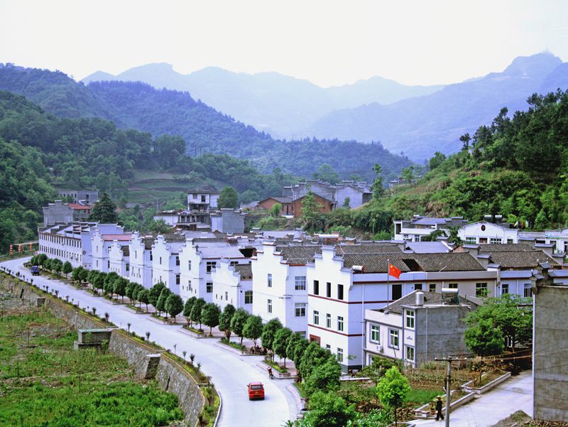 改革开放40年农业农村成就斐然