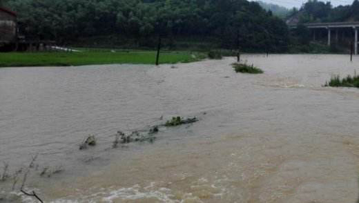 麻家渡镇：周密部署防汛抗灾救灾工作