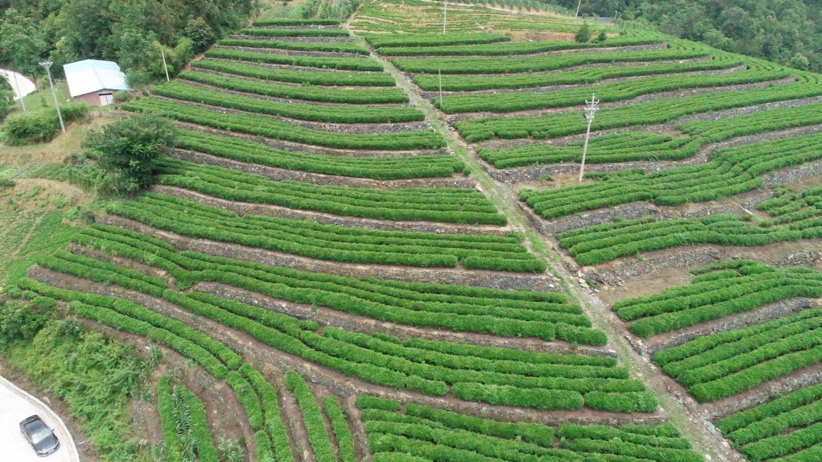 文峰乡：全力打好脱贫攻坚“五场硬仗”