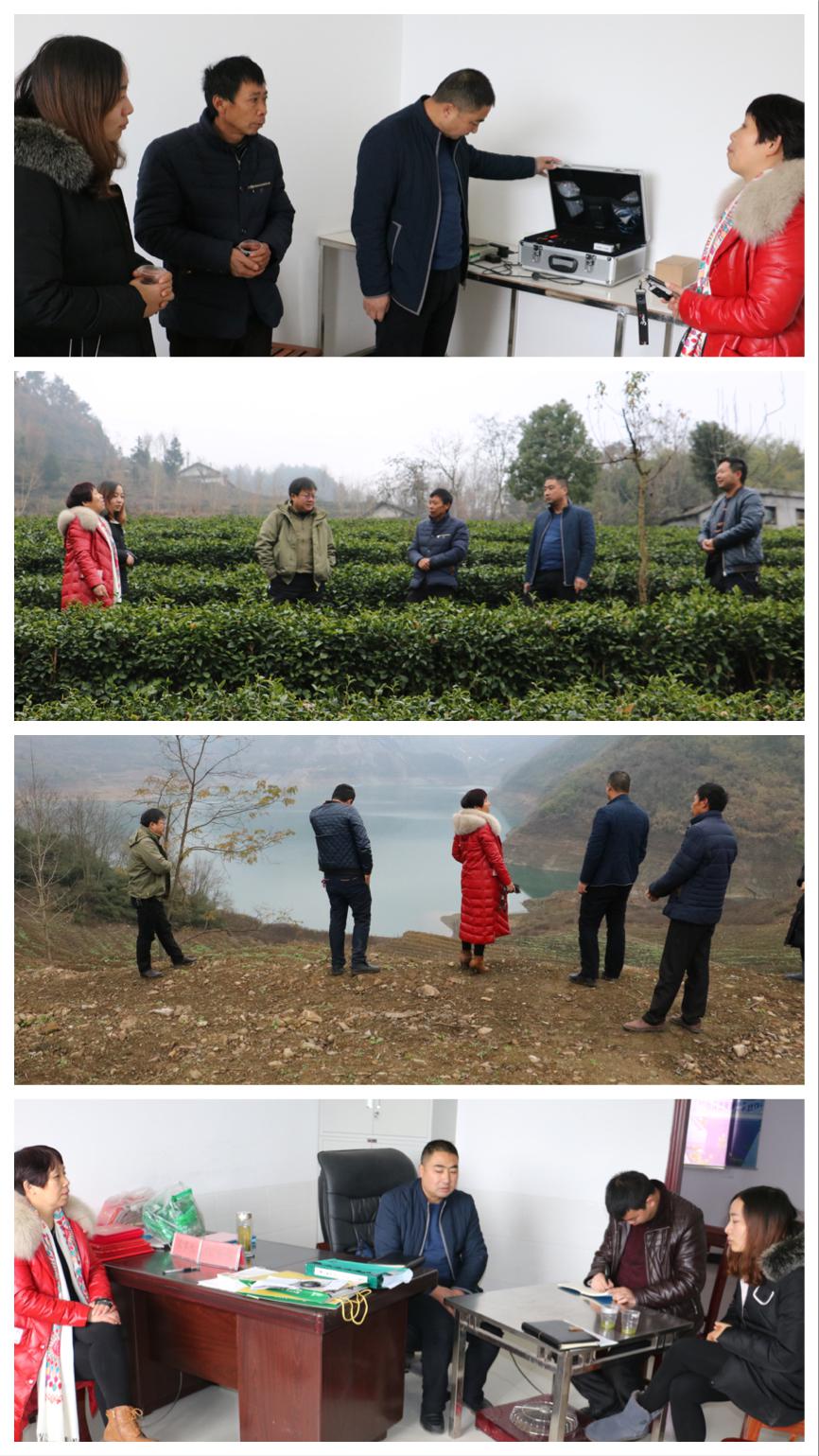 深河乡：开展政协调研 发挥委员职能