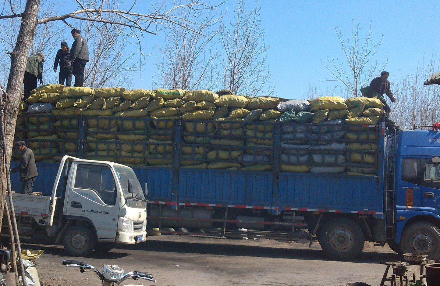 大庙乡生态机制木炭供不应求