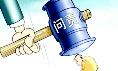 武汉：283人因“双评议”数据录入不实被问责
