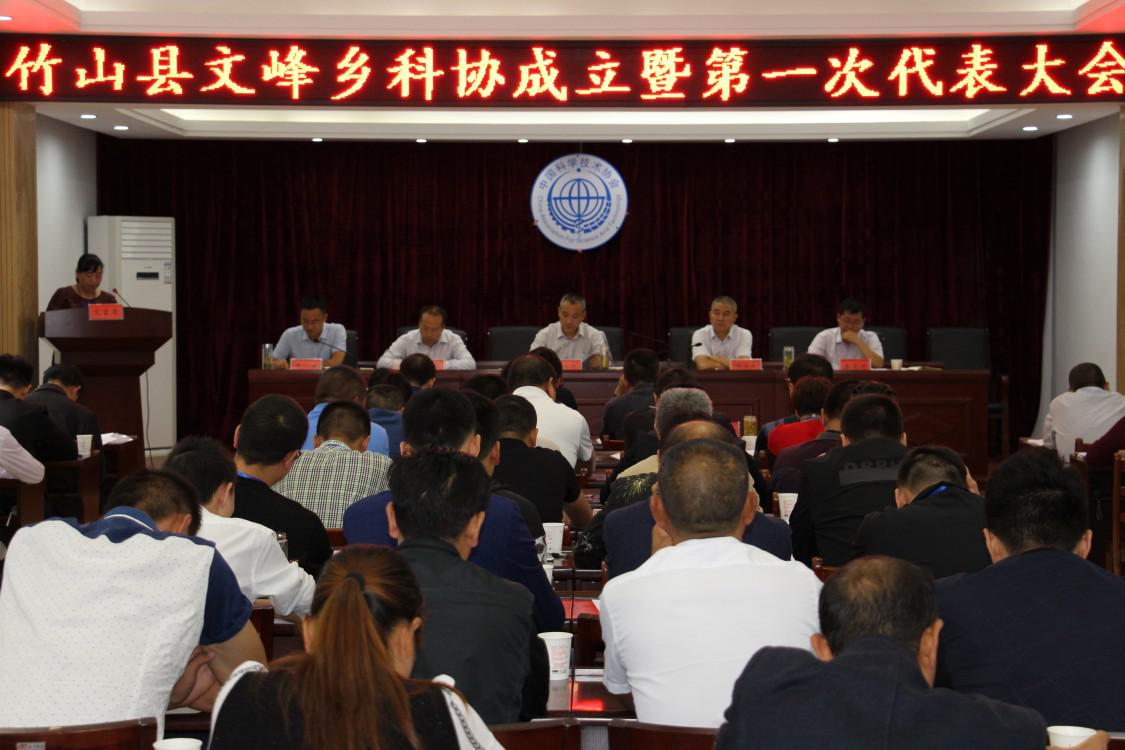 文峰乡科协正式成立