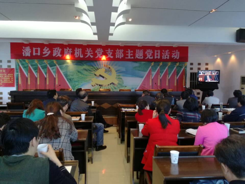 潘口乡组织收看党的十九大开幕盛况