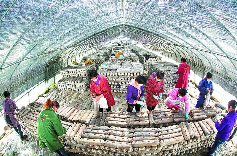 竹坪乡：建冻库破解农副产品储存难促增收稳脱贫