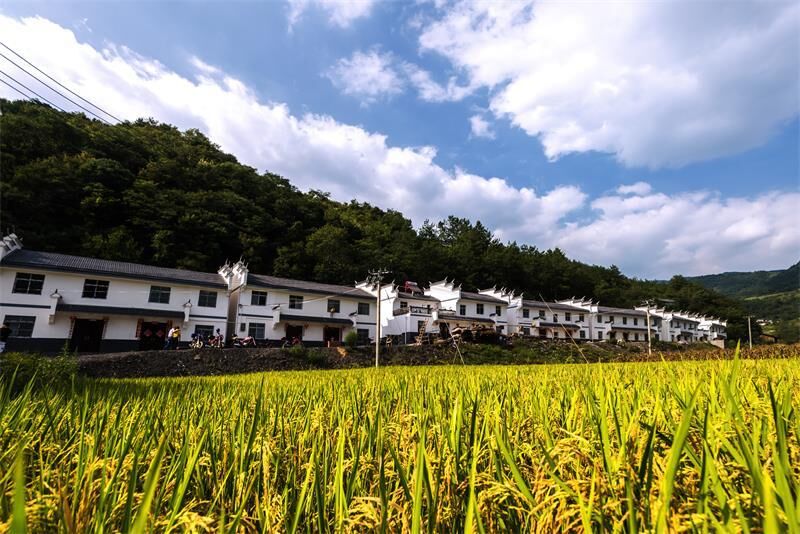 得胜镇：社情民意恳谈会，架起干群“连心桥”