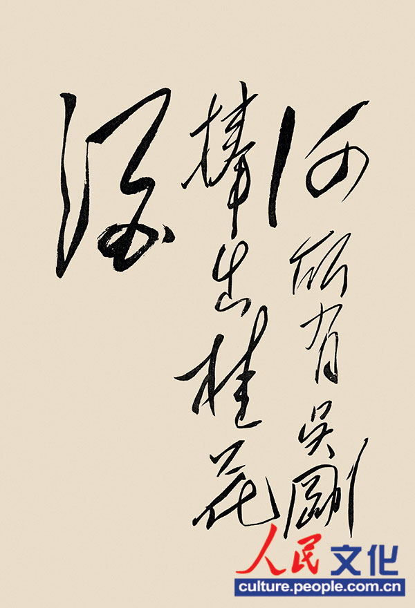 杨开慧2.jpg
