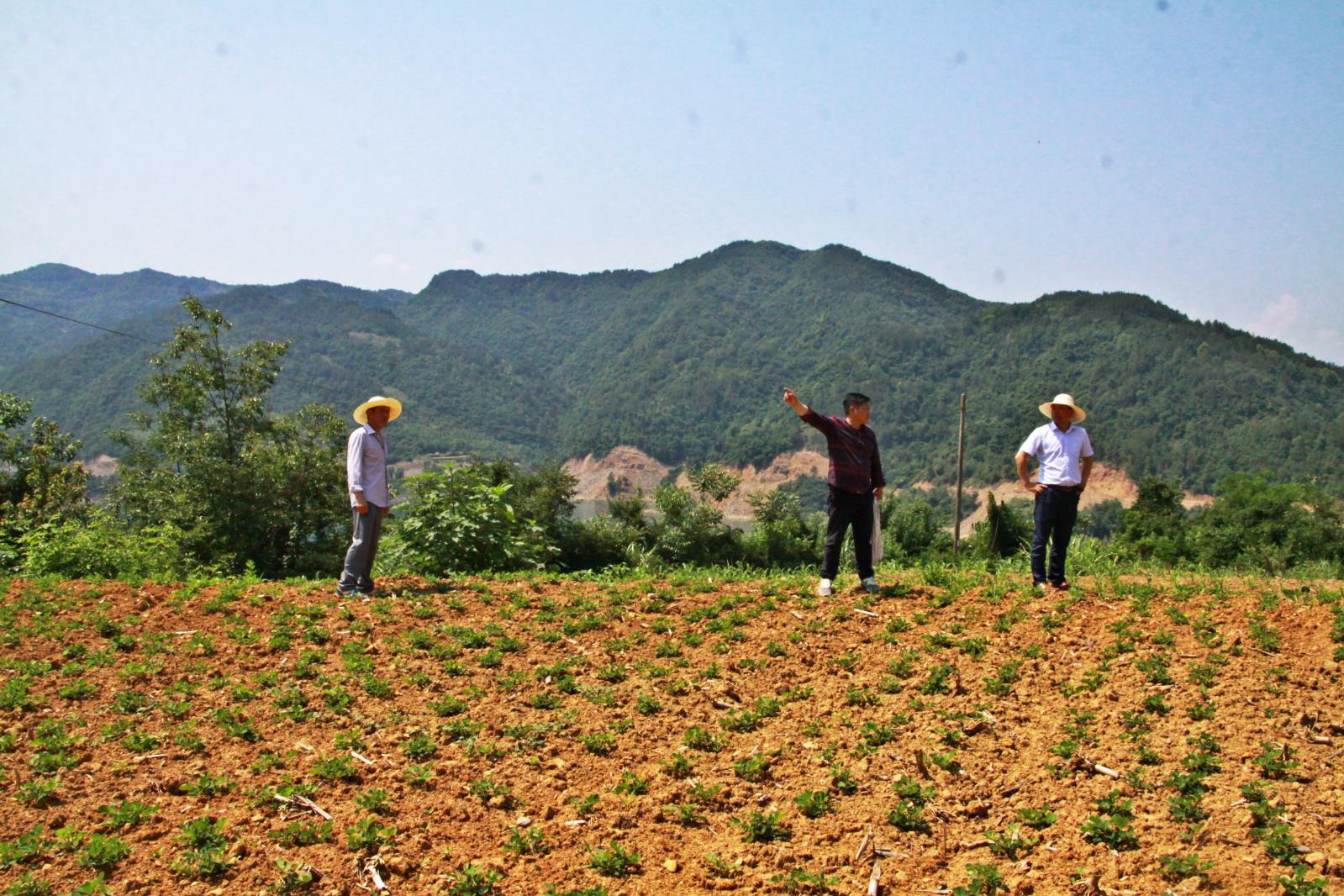 上庸镇：聚力担当促五项工作落实