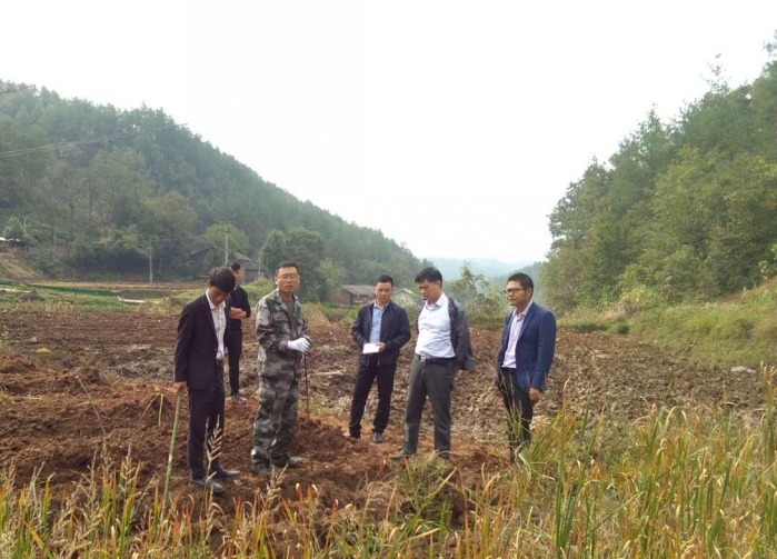 秦古镇：开展标准化茶园建管专项检查