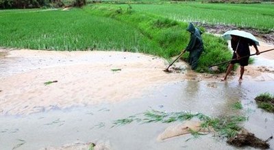 秦古镇多措并举做好强降雨灾害防治