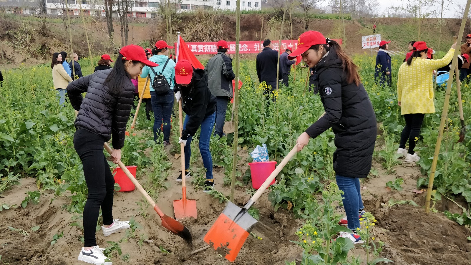 城关镇党支部开展义务植树活动