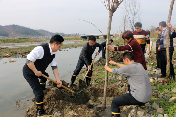 麻家渡镇：开展春季植树 靓化河堤村庄