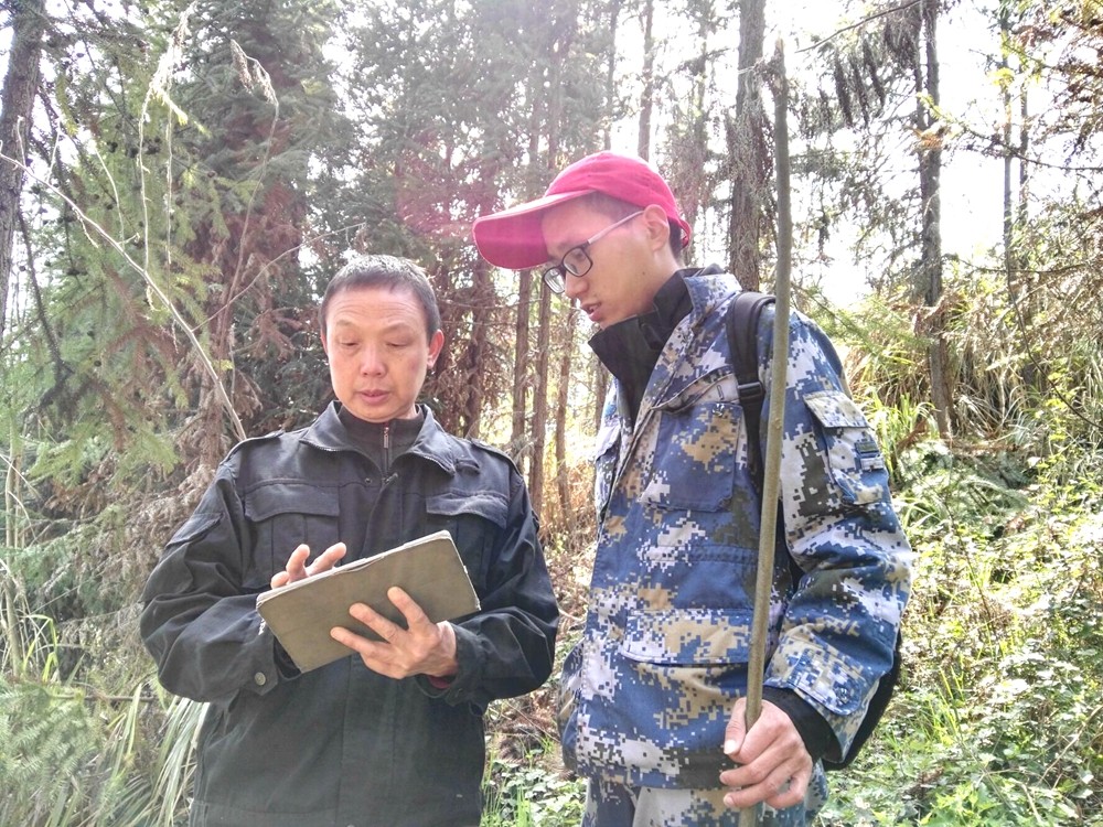 城关镇完成森林资源二类调查外业普查工作