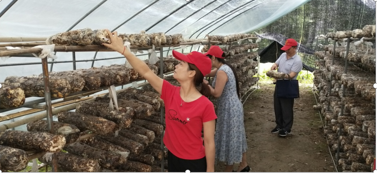 文峰乡财政所：三抓举措实心开展志愿服务活动