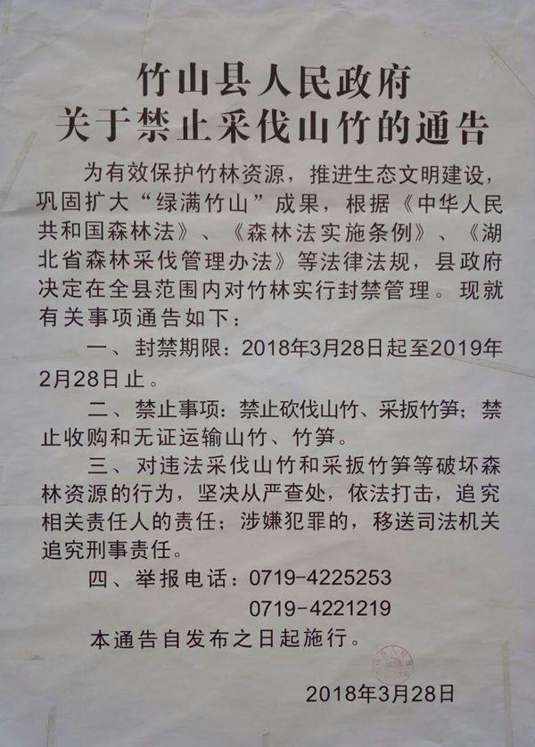 竹山县颁发《禁止采伐山竹》令