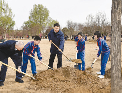 習近平：推動國土綠化不斷取得實實在在的成效