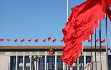 人民领袖为全国人民“领誓”