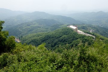 全国人大代表、湖北黄冈市市长邱丽新：把好山好水永留大别山区