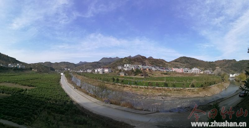 竹坪乡：冬日茶园美如画