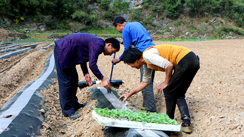官渡镇推进经济社会高质量发展纪实 