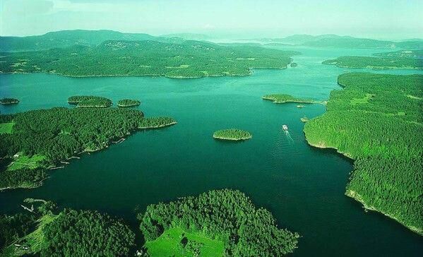 秦古镇：多措并举做好汛前隐患排查工作