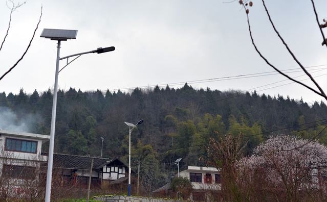 官渡镇：太阳能路灯照亮小康路