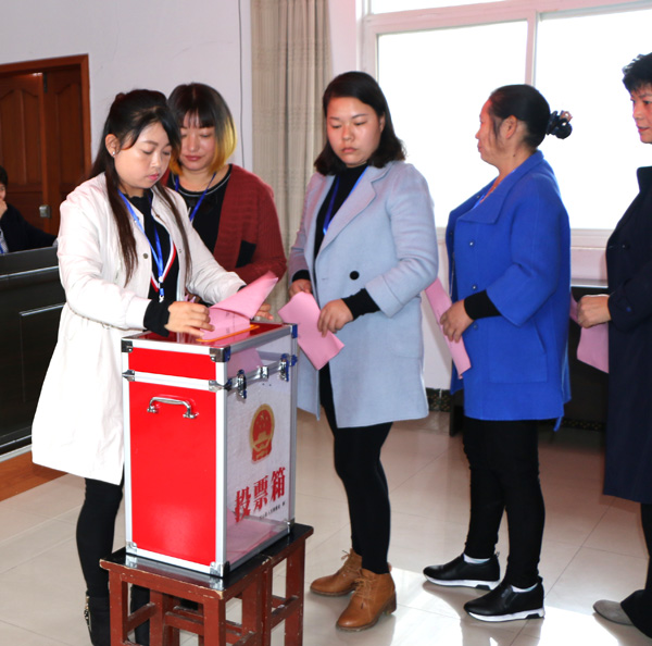 麻家渡镇：巾帼助力精准扶贫